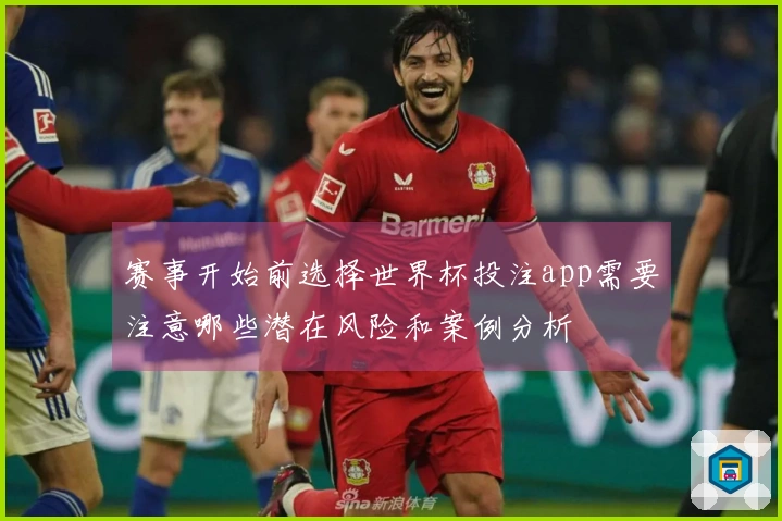 赛事开始前选择世界杯投注app需要注意哪些潜在风险和案例分析