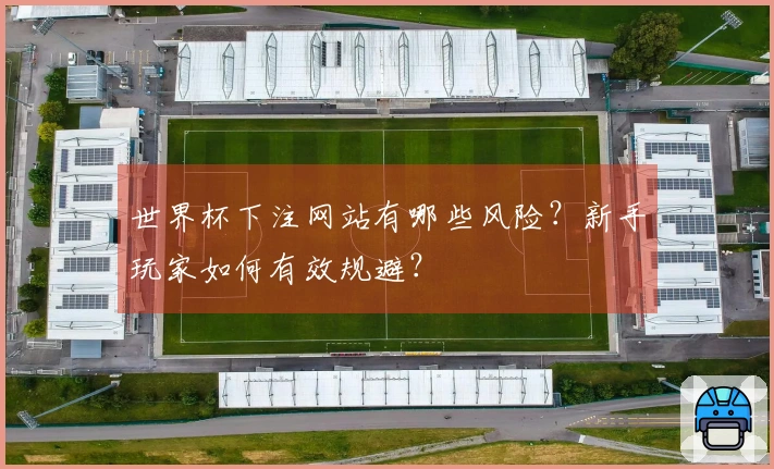 世界杯下注网站有哪些风险？新手玩家如何有效规避？