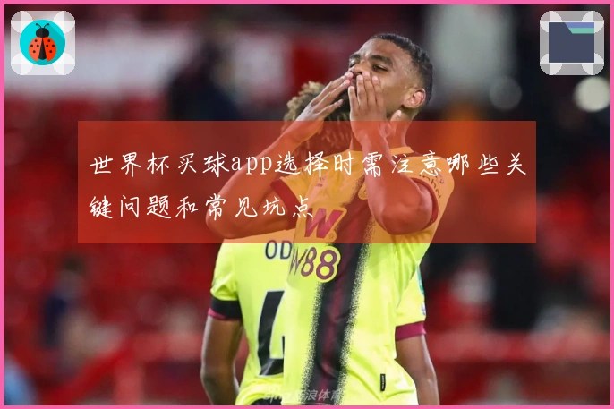 世界杯买球app选择时需注意哪些关键问题和常见坑点