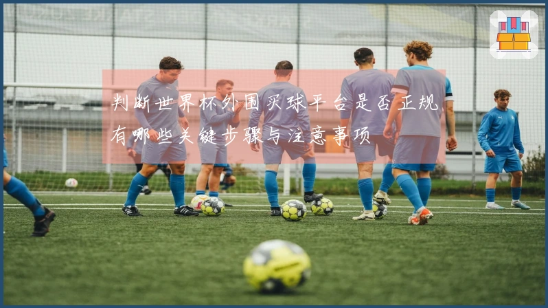 判断世界杯外围买球平台是否正规有哪些关键步骤与注意事项