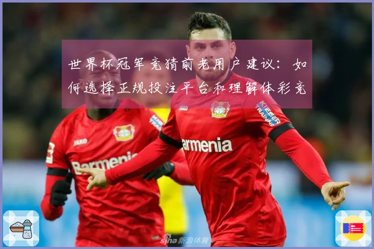 世界杯冠军竞猜前老用户建议：如何选择正规投注平台和理解体彩竞猜流程