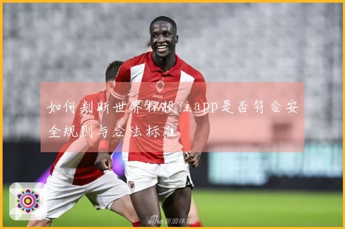 如何判断世界杯投注app是否符合安全规则与合法标准