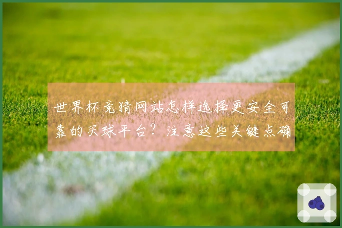 世界杯竞猜网站怎样选择更安全可靠的买球平台？注意这些关键点确保下注无忧