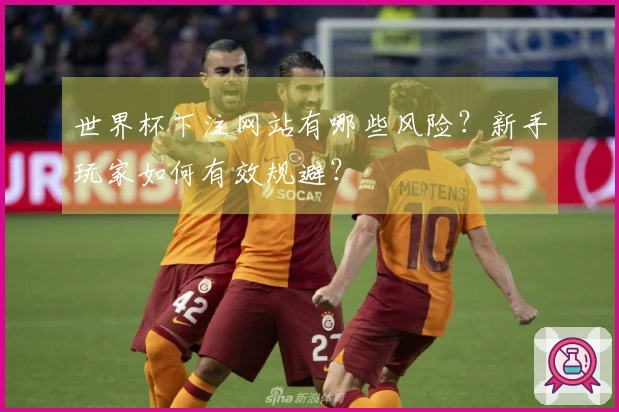 世界杯下注网站有哪些风险？新手玩家如何有效规避？