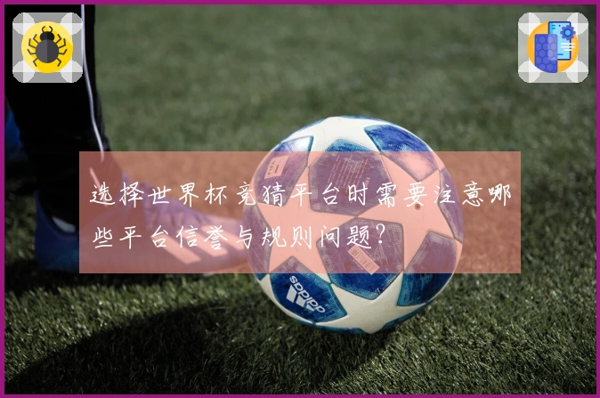 选择世界杯竞猜平台时需要注意哪些平台信誉与规则问题？