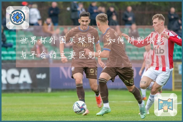 世界杯外围买球时，如何辨别体彩与平台的主要区别？