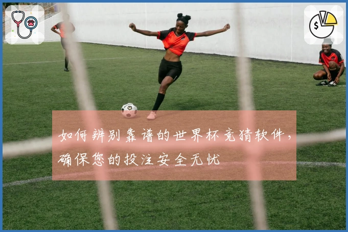 如何辨别靠谱的世界杯竞猜软件，确保您的投注安全无忧