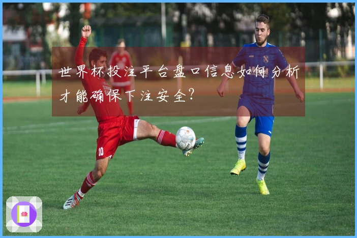 世界杯投注平台盘口信息如何分析才能确保下注安全？