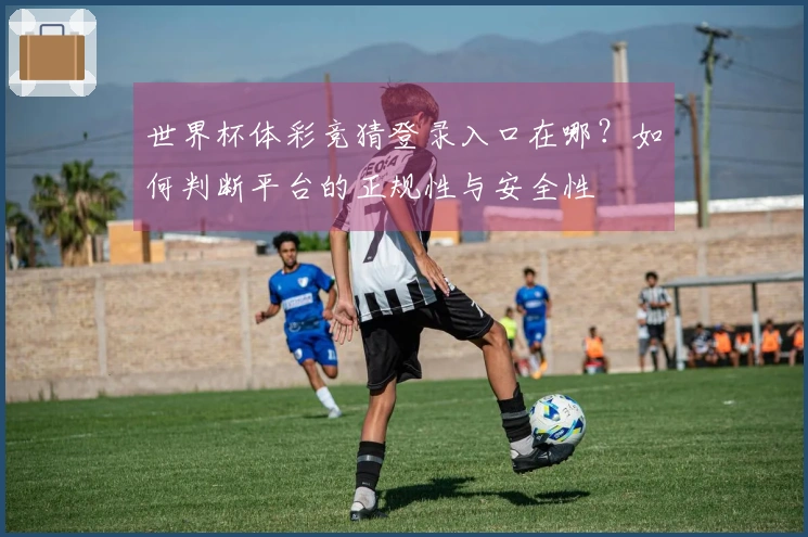 世界杯体彩竞猜登录入口在哪?如何判断平台的正规性与安全性