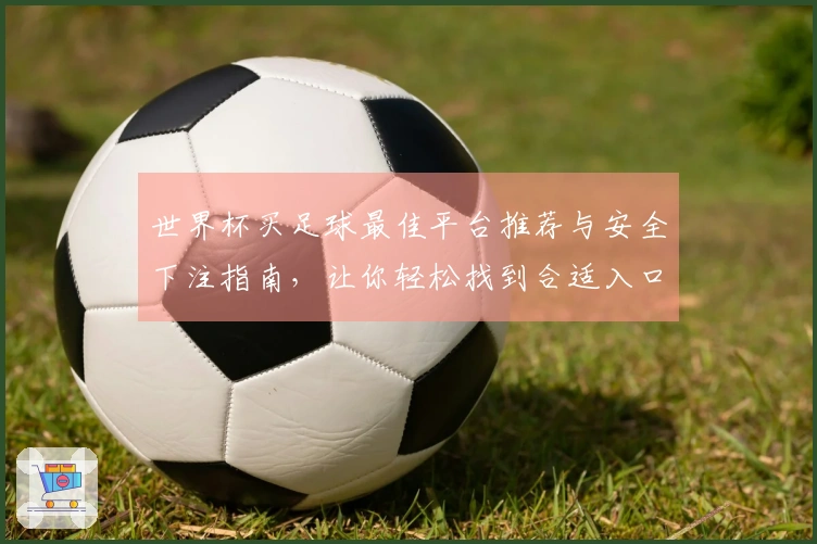 世界杯买足球最佳平台推荐与安全下注指南，让你轻松找到合适入口