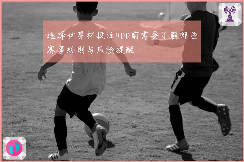 选择世界杯投注app前需要了解哪些赛事规则与风险提醒