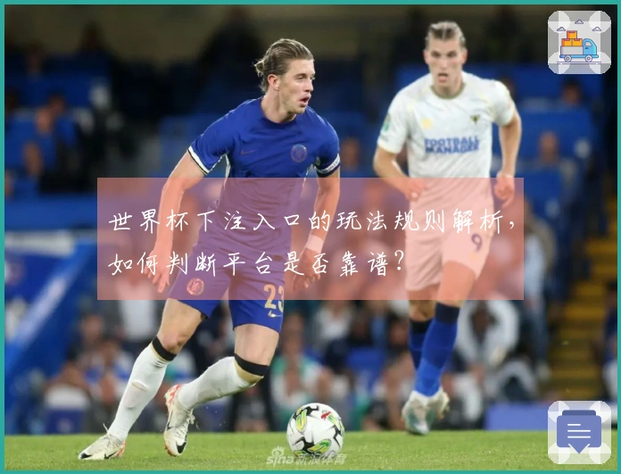 世界杯下注入口的玩法规则解析，如何判断平台是否靠谱？