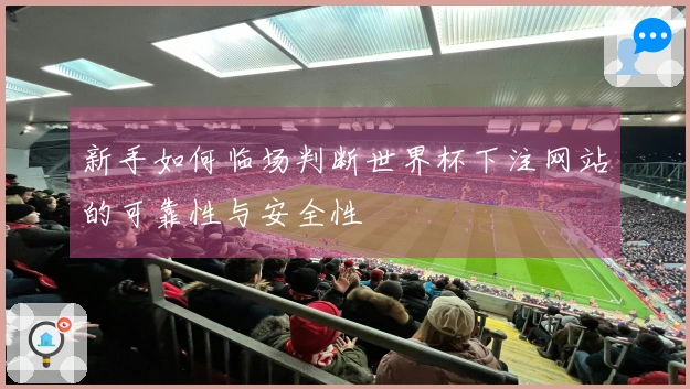 新手如何临场判断世界杯下注网站的可靠性与安全性