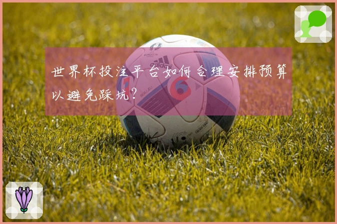 世界杯投注平台如何合理安排预算以避免踩坑？