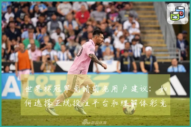 世界杯冠军竞猜前老用户建议：如何选择正规投注平台和理解体彩竞猜流程