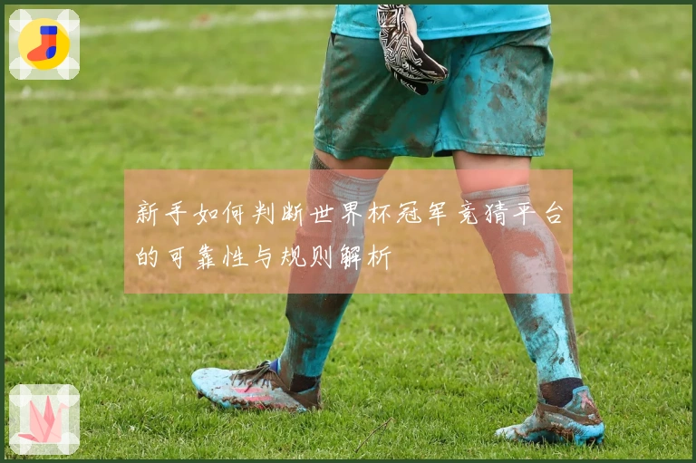 新手如何判断世界杯冠军竞猜平台的可靠性与规则解析