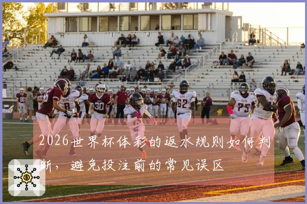 2026世界杯体彩的返水规则如何判断，避免投注前的常见误区