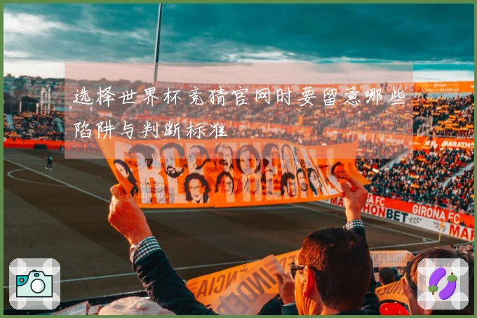 选择世界杯竞猜官网时要留意哪些陷阱与判断标准