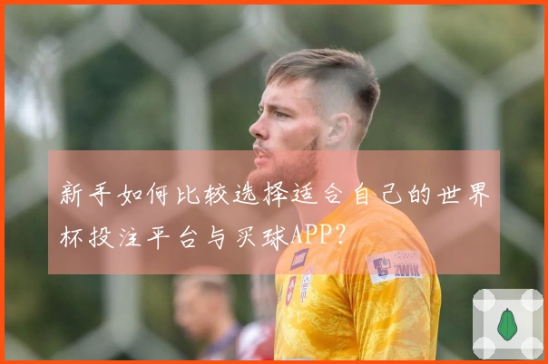 新手如何比较选择适合自己的世界杯投注平台与买球APP?