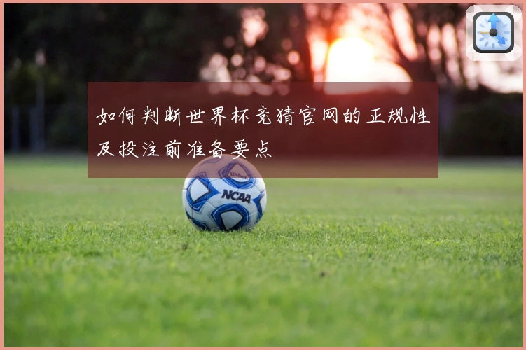 如何判断世界杯竞猜官网的正规性及投注前准备要点