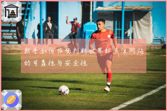 新手如何临场判断世界杯下注网站的可靠性与安全性